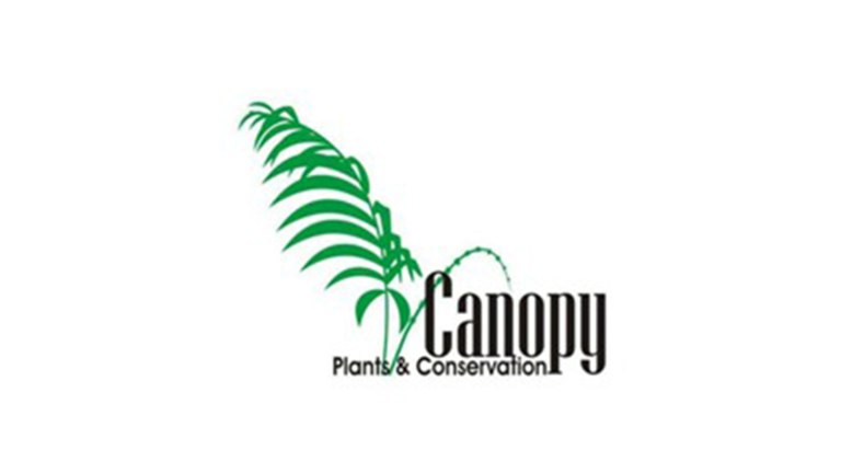 Mengasah Rasa Cinta Tumbuhan di OMPT Canopy