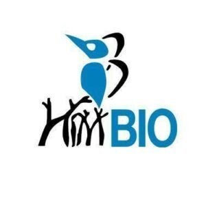 Sekilas Mengenai Himpunan Mahasiswa Departemen (HMD) Biologi FMIPA UI Sebagai Sebuah Organisasi