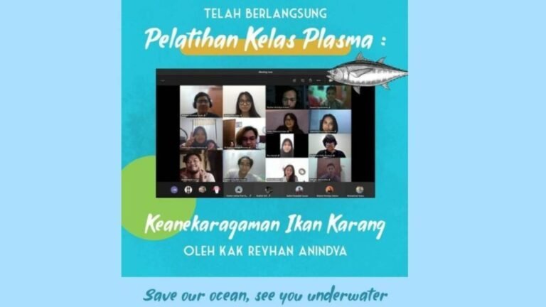 Pengalaman Menjadi Project Officer PLASMA